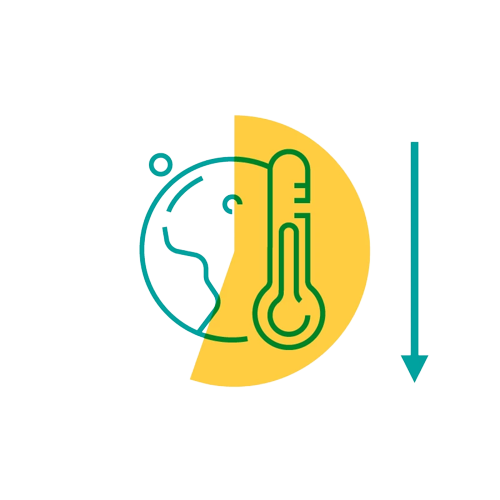 What Is Green Label Plus Certified